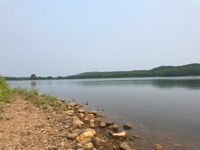 Michigan DNR