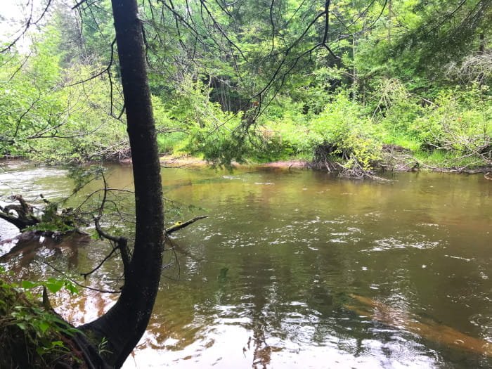 Fox River State Forest Campground