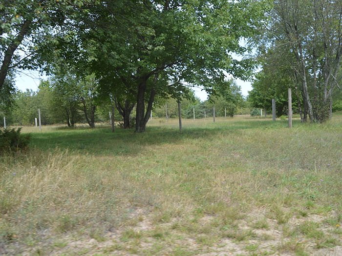 Garey Lake State Forest Campground