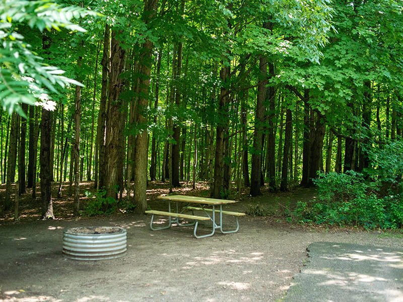 Pinney Bridge State Forest Campground