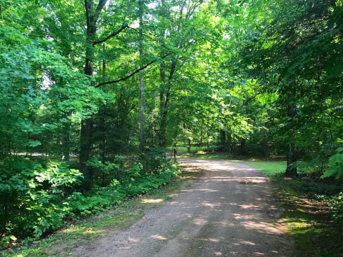 Michigan DNR