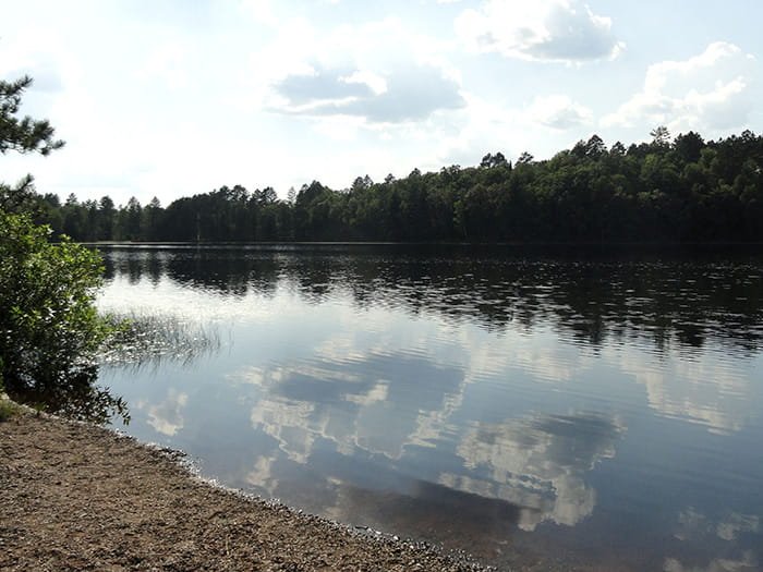Michigan DNR