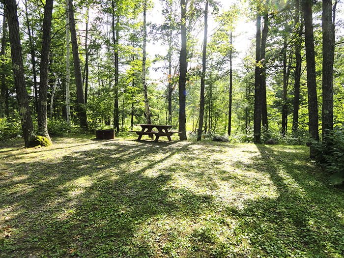 Glidden Lake State Forest Campground