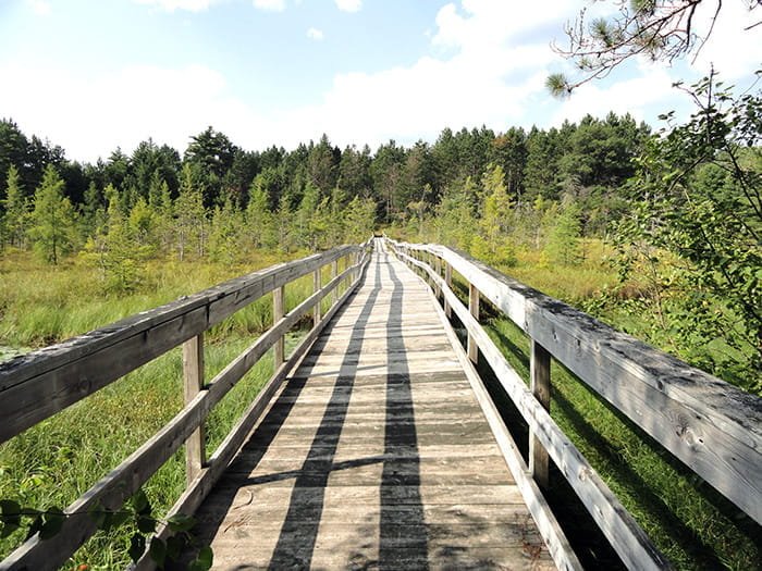 Glidden Lake State Forest Campground