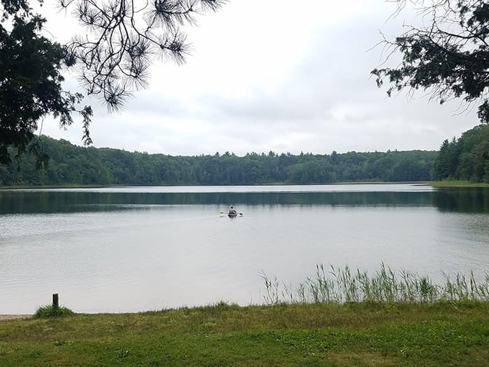 Michigan DNR