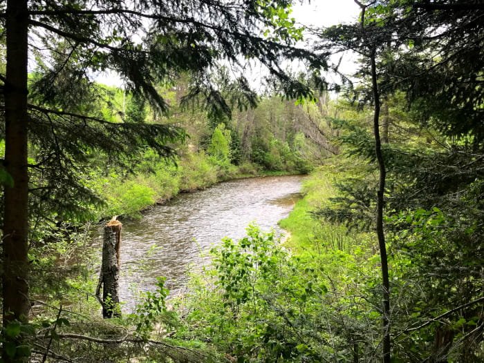 Haakwood State Forest Campground