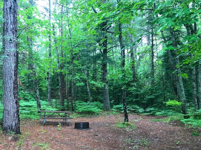 High Bridge State Forest Campground