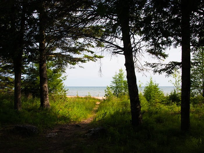 Hog Island Point State Forest Campground