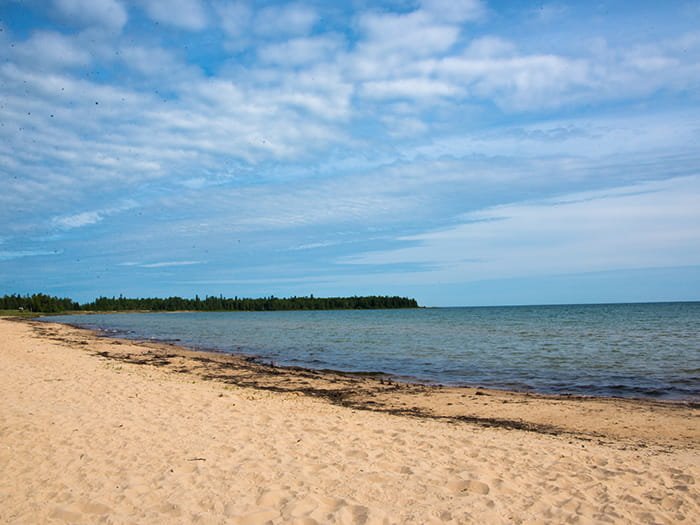 Hog Island Point State Forest Campground