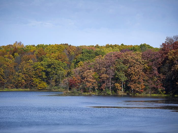 Holly Group Camp