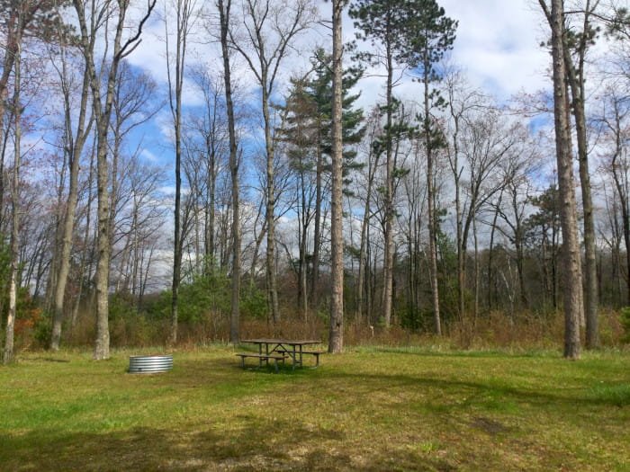 House Lake State Forest Campground
