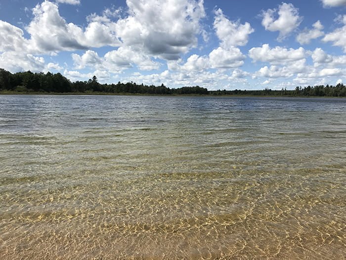 Michigan DNR