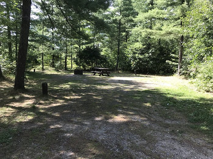 Jones Lake State Forest Campground