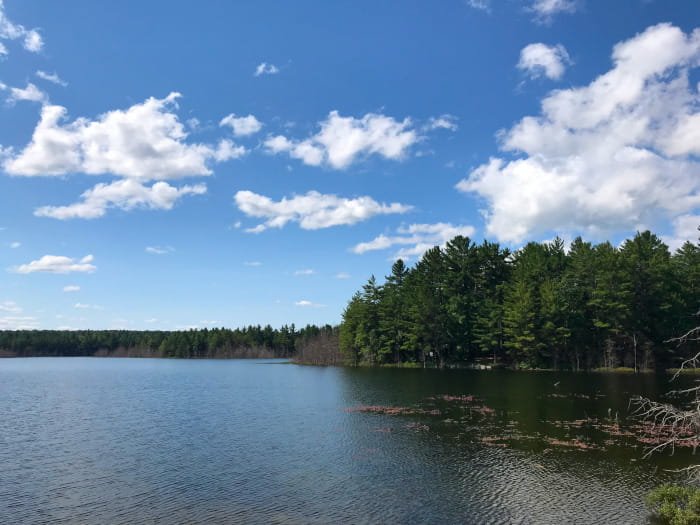 Michigan DNR