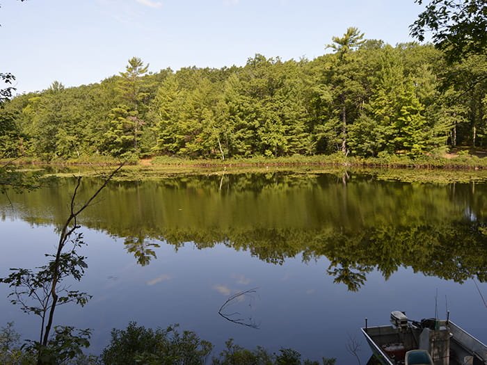 Michigan DNR