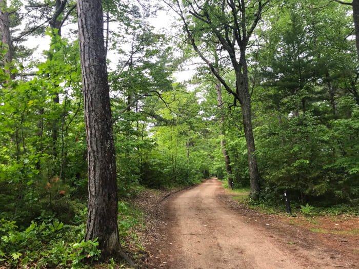 Michigan DNR