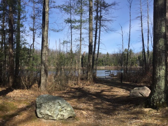 Michigan DNR