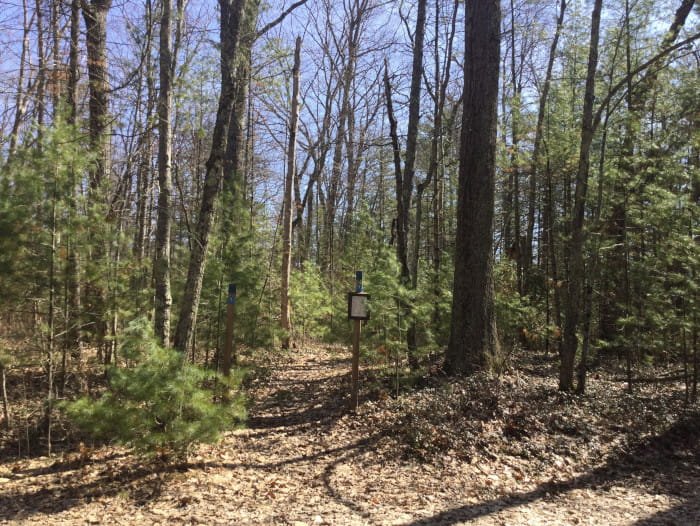 Michigan DNR