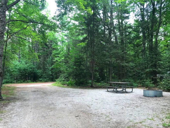 Michigan DNR