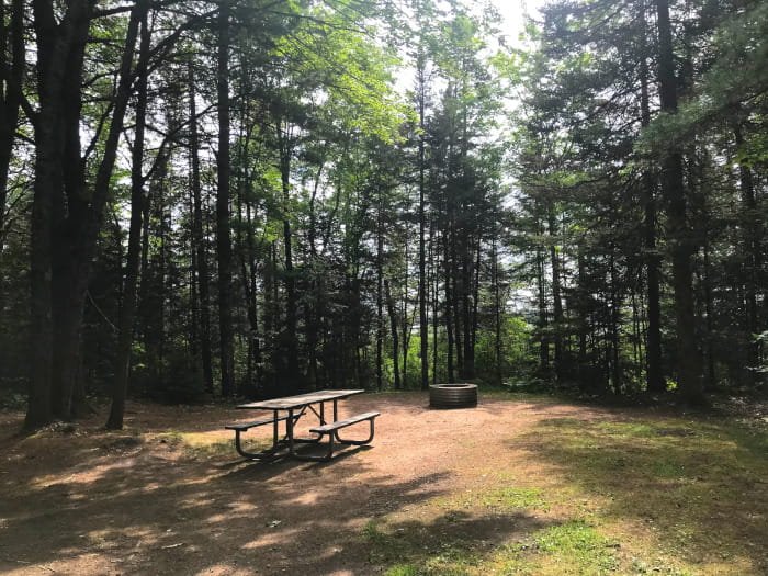 Michigan DNR