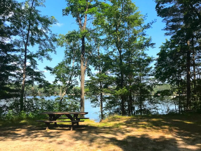 Little Wolf Lake State Forest Campground