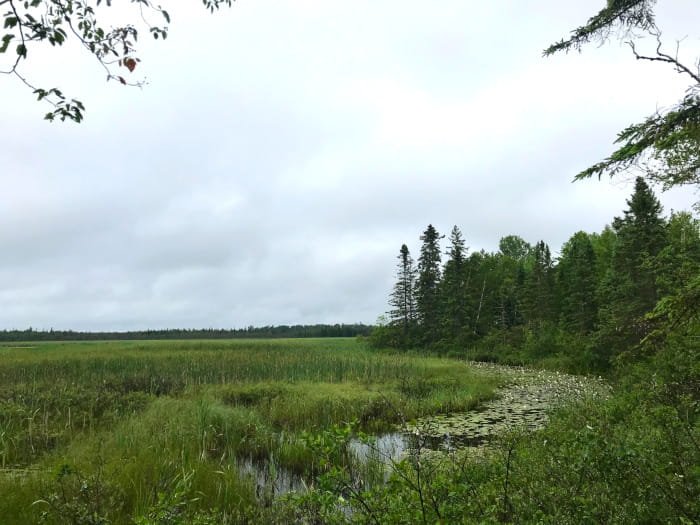 Natalie State Forest Campground