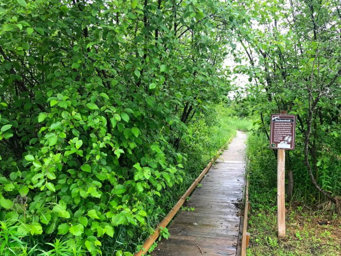 Natalie State Forest Campground