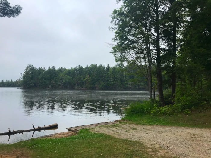 Michigan DNR
