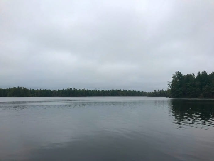 Michigan DNR
