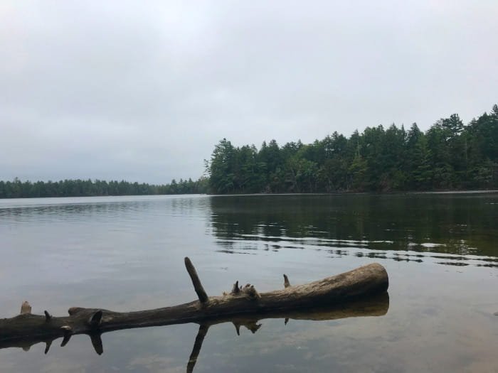 North Gemini Lake State Forest Campground