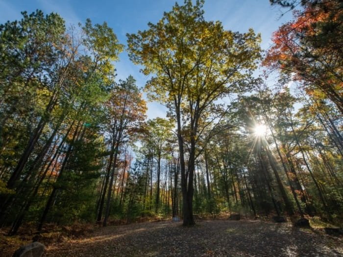 Michigan DNR