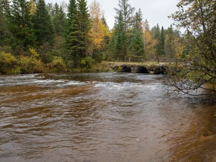 Michigan DNR