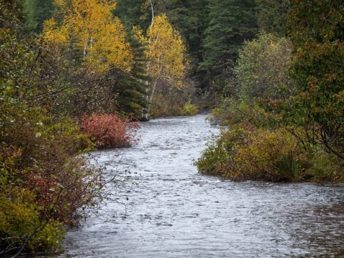 Michigan DNR