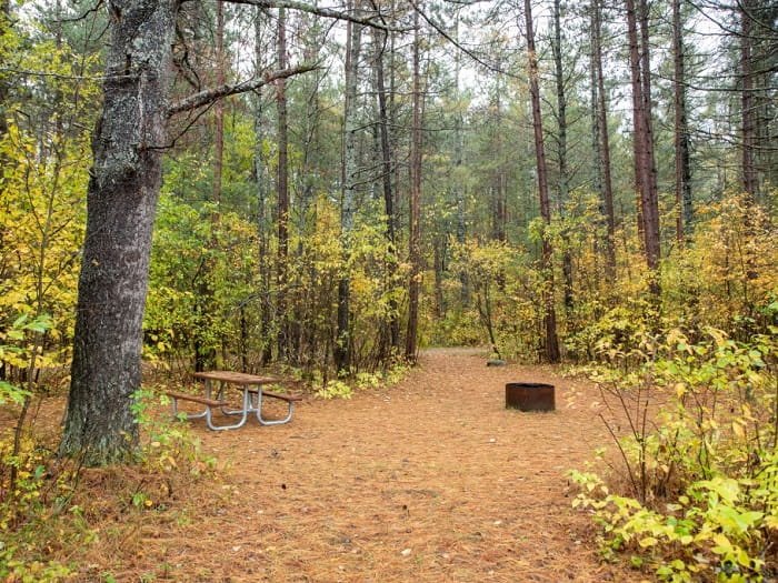 Michigan DNR