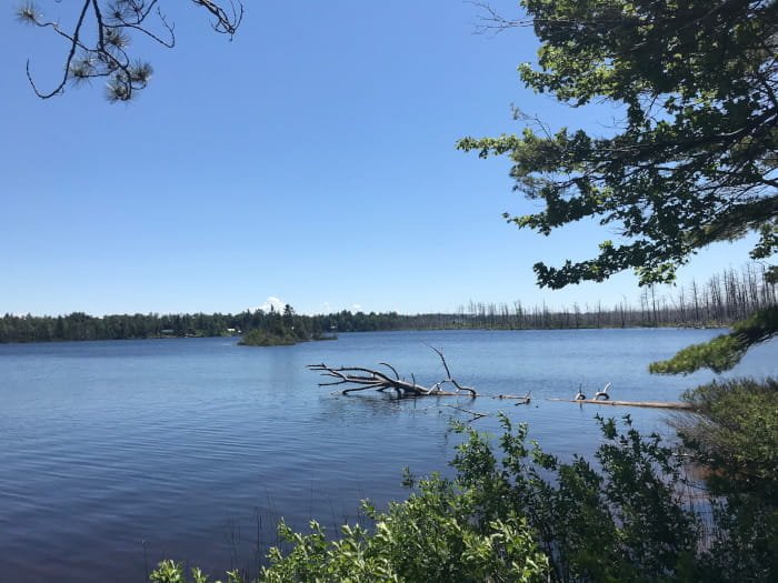 Michigan DNR
