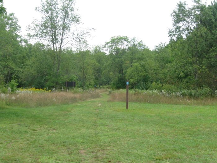 Pinney Bridge State Forest Campground