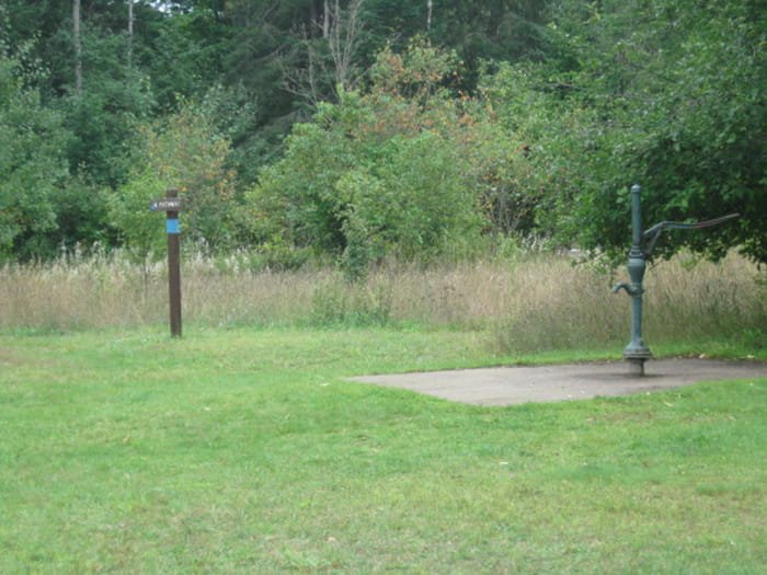 Michigan DNR