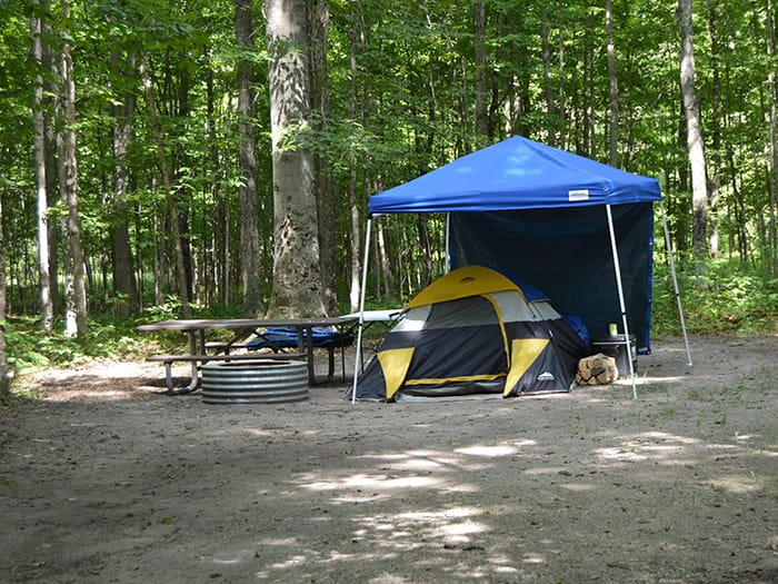 Michigan DNR