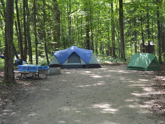 Michigan DNR