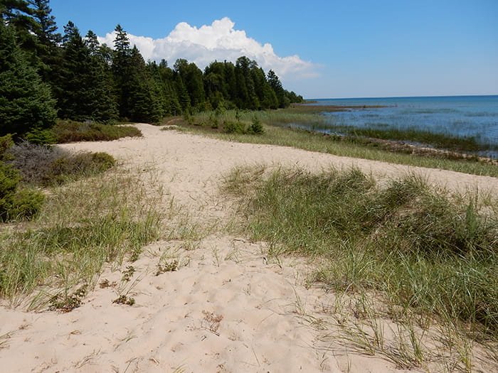 Portage Bay State Forest Campground