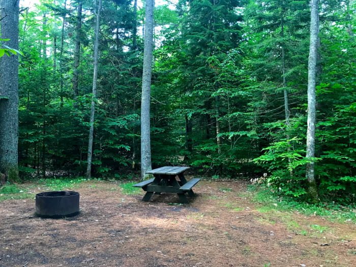 Michigan DNR