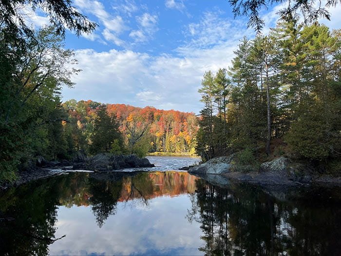 Michigan DNR