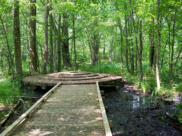 Reed & Green Bridge State Forest Campground