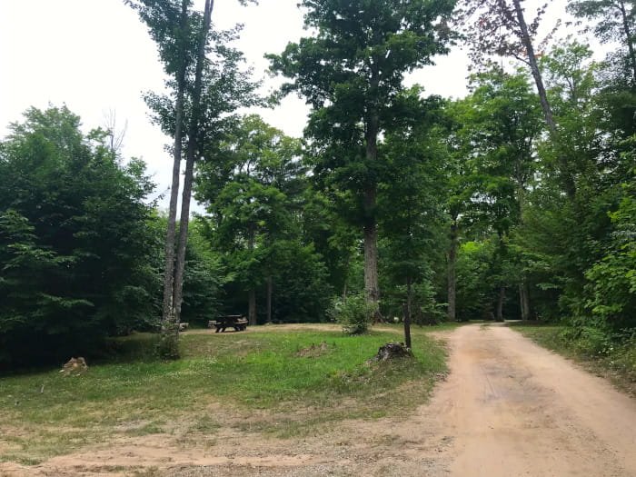 Ross Lake State Forest Campground