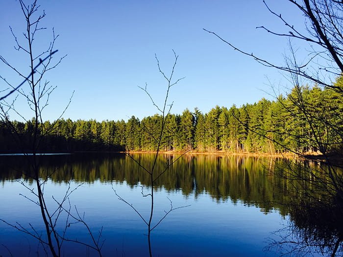 Michigan DNR