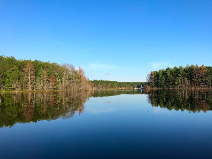 Shoepac Lake State Forest Campground