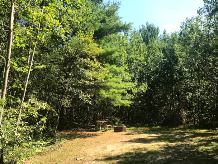 Michigan DNR