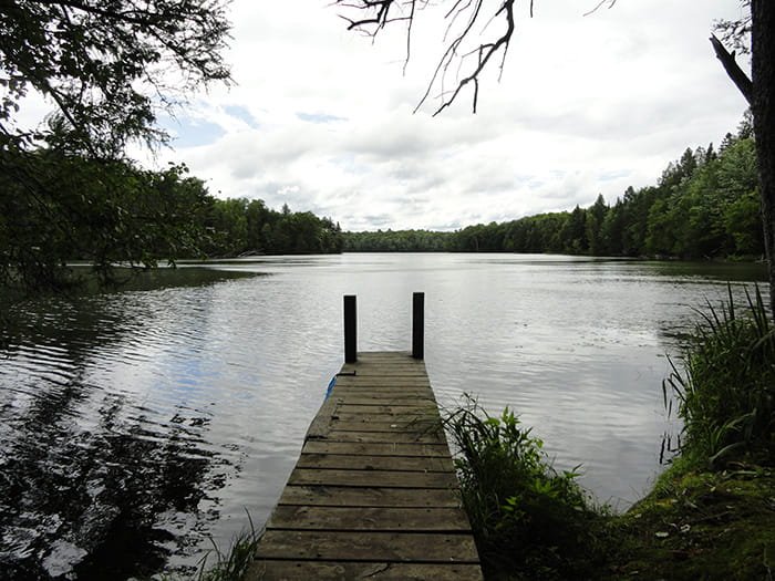 Michigan DNR