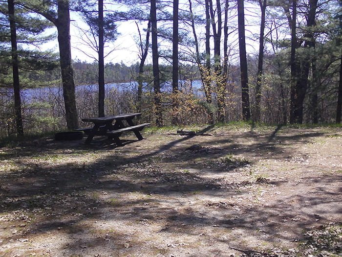 Michigan DNR