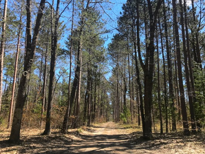 Michigan DNR